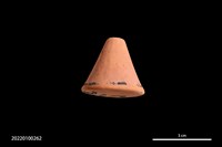 藏品(陶紡輪)的圖片